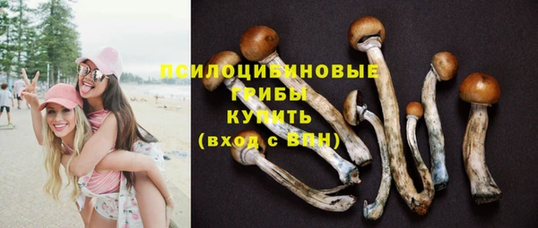 Альфа ПВП Нягань
