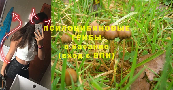мяу мяу мука Нязепетровск
