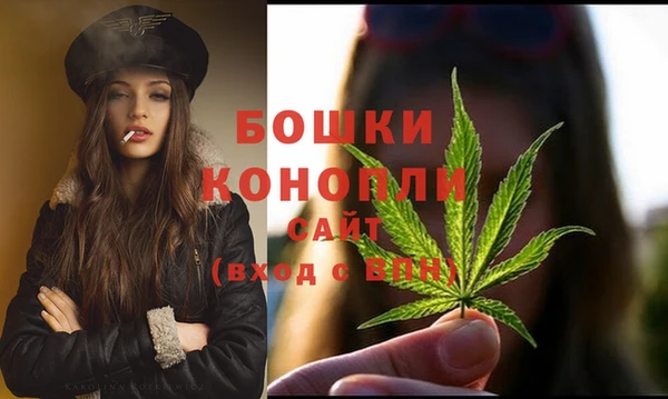 Альфа ПВП Нягань