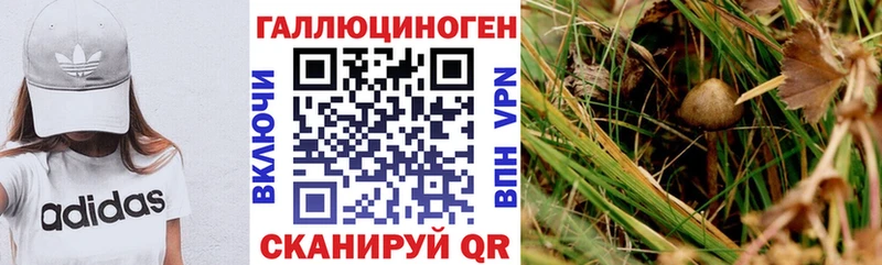 Купить где  Кологрив  Галлюциногенные грибы мухоморы 